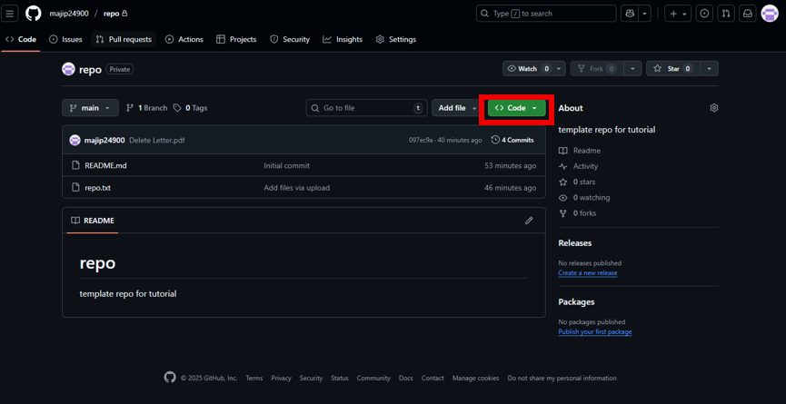 Repository page showing Code button with options